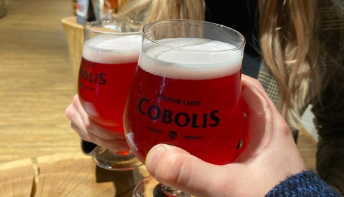 people cheering with sour beer